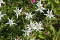 DSC05823 - Bernhard Saalfeld