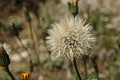 DSC05825 - Bernhard Saalfeld