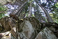 DSC05828 - Bernhard Saalfeld