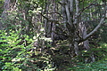 DSC05829 - Bernhard Saalfeld