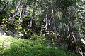 DSC05830 - Bernhard Saalfeld