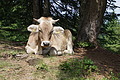 DSC05847 - Bernhard Saalfeld