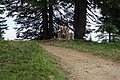 DSC05850 - Bernhard Saalfeld