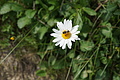 DSC05852 - Bernhard Saalfeld