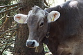 DSC05882 - Bernhard Saalfeld