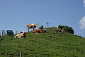 DSC05883 - Bernhard Saalfeld