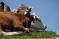 DSC05885 - Bernhard Saalfeld