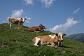 DSC05887 - Bernhard Saalfeld