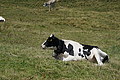 DSC05894 - Bernhard Saalfeld