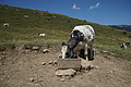 DSC05895 - Bernhard Saalfeld