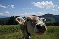 DSC05897 - Bernhard Saalfeld