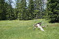 DSC05901 - Bernhard Saalfeld