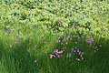 DSC05902 - Bernhard Saalfeld