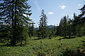 DSC05903 - Bernhard Saalfeld