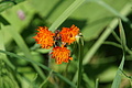 DSC05916 - Bernhard Saalfeld