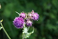 DSC05919 - Bernhard Saalfeld