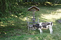 DSC05920 - Bernhard Saalfeld