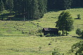 DSC05925 - Bernhard Saalfeld
