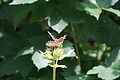 DSC05969 - Bernhard Saalfeld