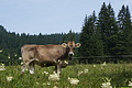 DSC05970 - Bernhard Saalfeld