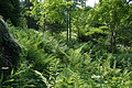 DSC05974 - Bernhard Saalfeld