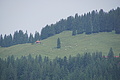 DSC05975 - Bernhard Saalfeld