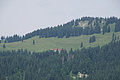 DSC05976 - Bernhard Saalfeld