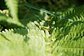 DSC05978 - Bernhard Saalfeld