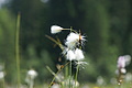DSC05980 - Bernhard Saalfeld