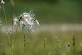 DSC05981 - Bernhard Saalfeld