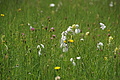 DSC05982 - Bernhard Saalfeld