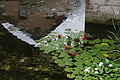DSC05992 - Bernhard Saalfeld