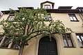 DSC06005 - Bernhard Saalfeld