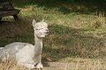 DSC06024 - Bernhard Saalfeld
