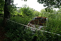 DSC06030 - Bernhard Saalfeld