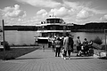 L1000954 - Bernhard Saalfeld