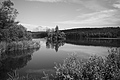 L1000955 - Bernhard Saalfeld