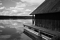 L1000958 - Bernhard Saalfeld