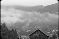 L1000962 - Bernhard Saalfeld