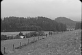 L1000966 - Bernhard Saalfeld