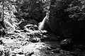 L1001006 - Bernhard Saalfeld