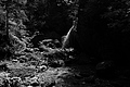 L1001007 - Bernhard Saalfeld