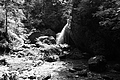 L1001008 - Bernhard Saalfeld