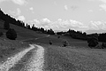 L1001035 - Bernhard Saalfeld