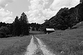 L1001036 - Bernhard Saalfeld