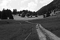 L1001037 - Bernhard Saalfeld