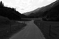 L1001039 - Bernhard Saalfeld