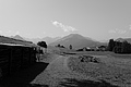 L1001044 - Bernhard Saalfeld