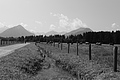 L1001048 - Bernhard Saalfeld