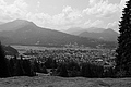 L1001050 - Bernhard Saalfeld